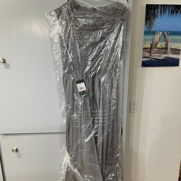 NWT La Femme 21627SC Chiffon Evening Dress Platinum Size 4 - Picture 9 of 9